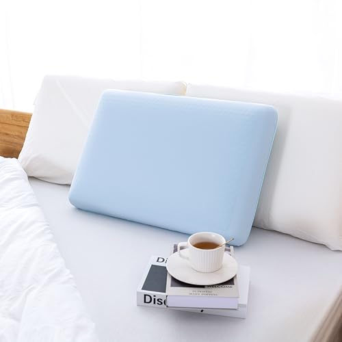 EGOHOME Sleep Memory Foam Pillow