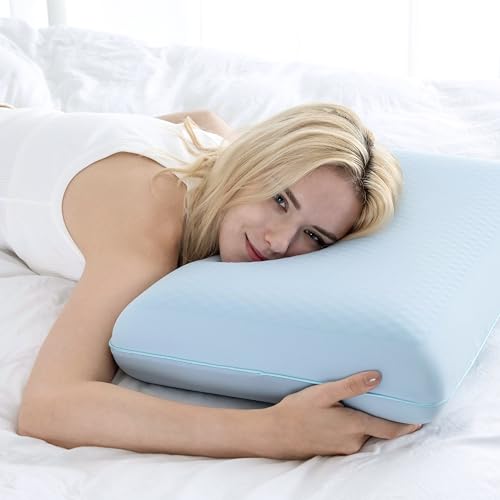 EGOHOME Sleep Memory Foam Pillow