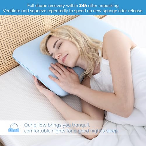 EGOHOME Sleep Memory Foam Pillow