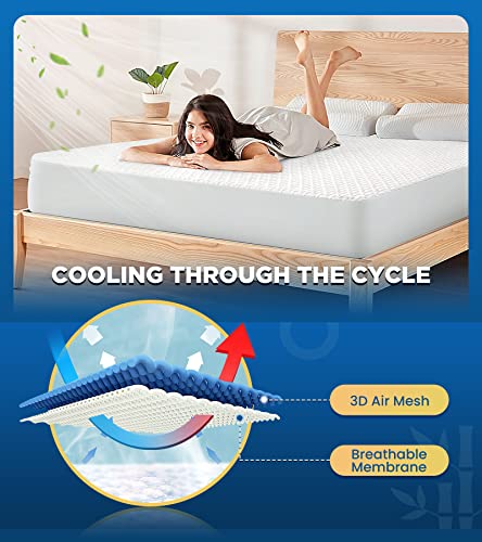 Premium Waterproof Queen Mattress Protector, 8–21 in