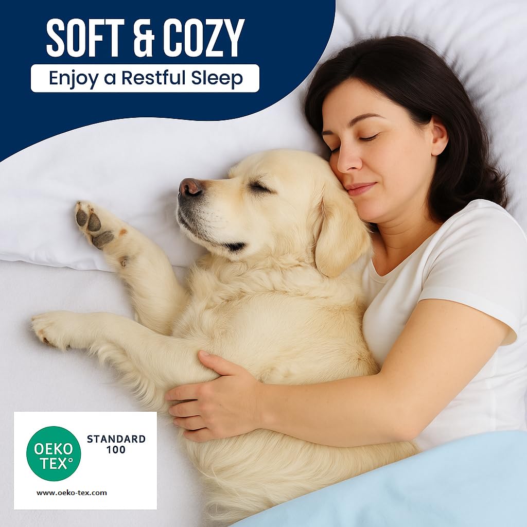 Supportive Pillows Shaped for Restful Alignment