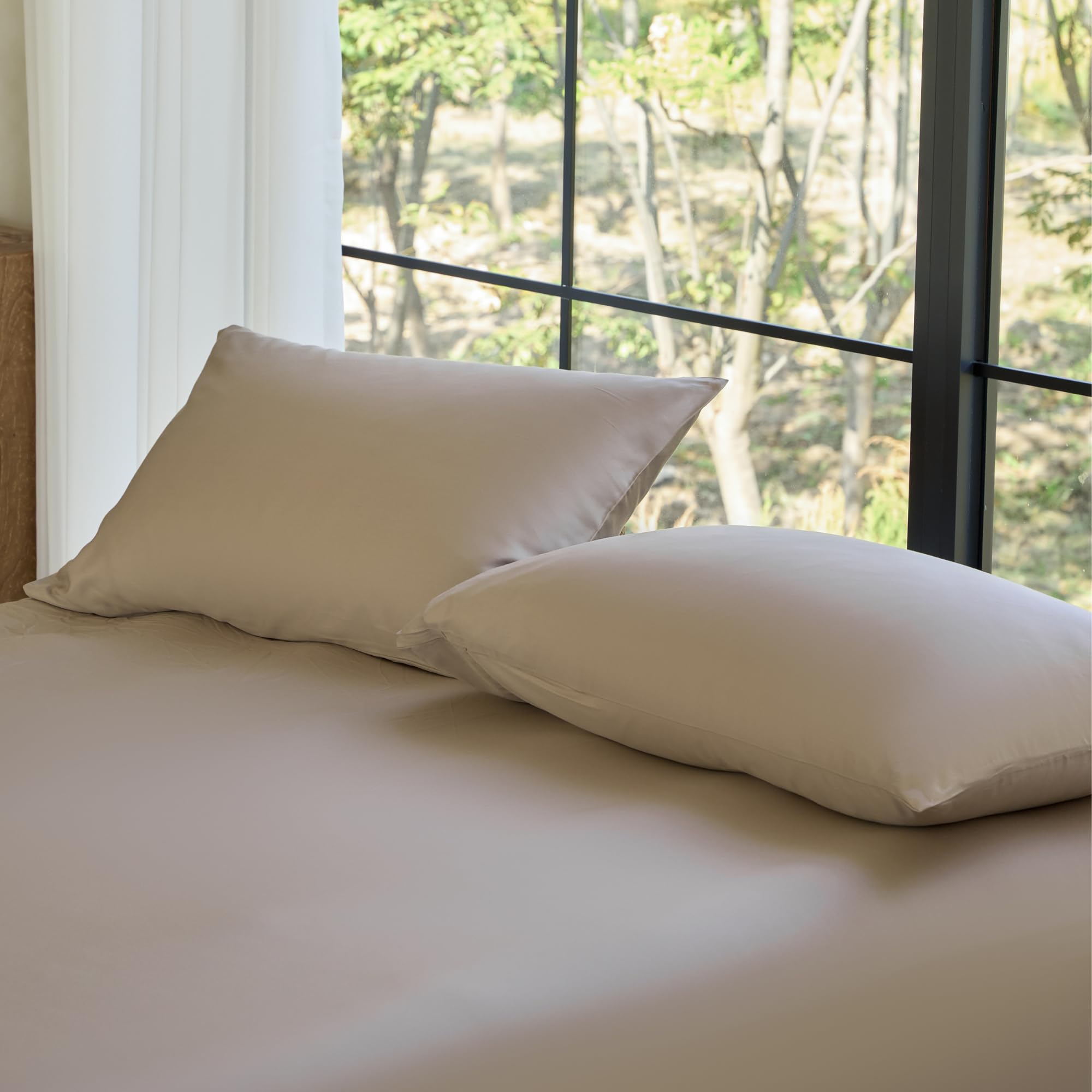 DOZ Pillowcase Set, 100% Viscose derived from Bamboo, Organically Grown, Buttery Soft, Silky, Breathable, Cooling, Oeko-TEX, High GSM, 2-Pack, Envelope Closure