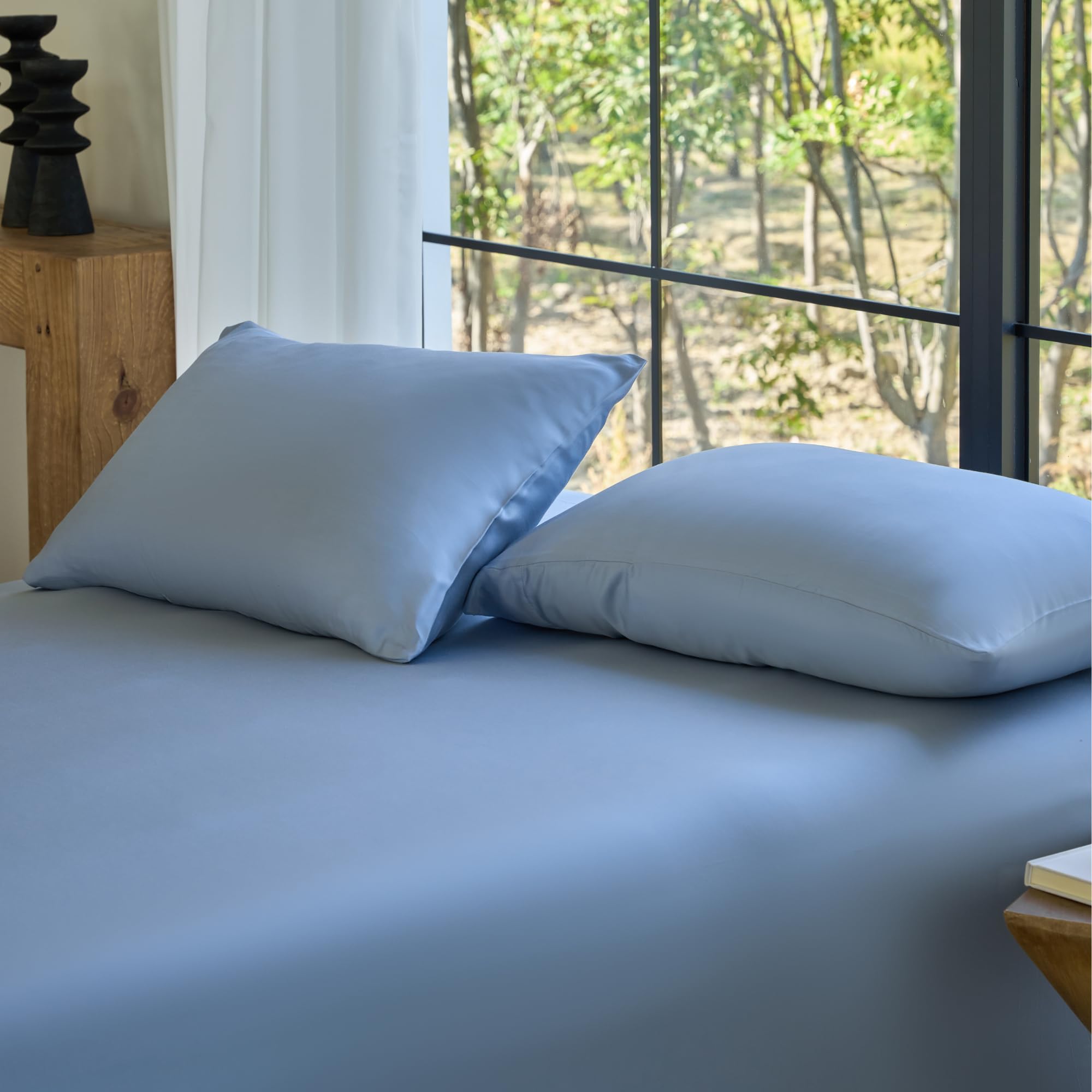 DOZ Pillowcase Set, 100% Viscose derived from Bamboo, Organically Grown, Buttery Soft, Silky, Breathable, Cooling, Oeko-TEX, High GSM, 2-Pack, Envelope Closure