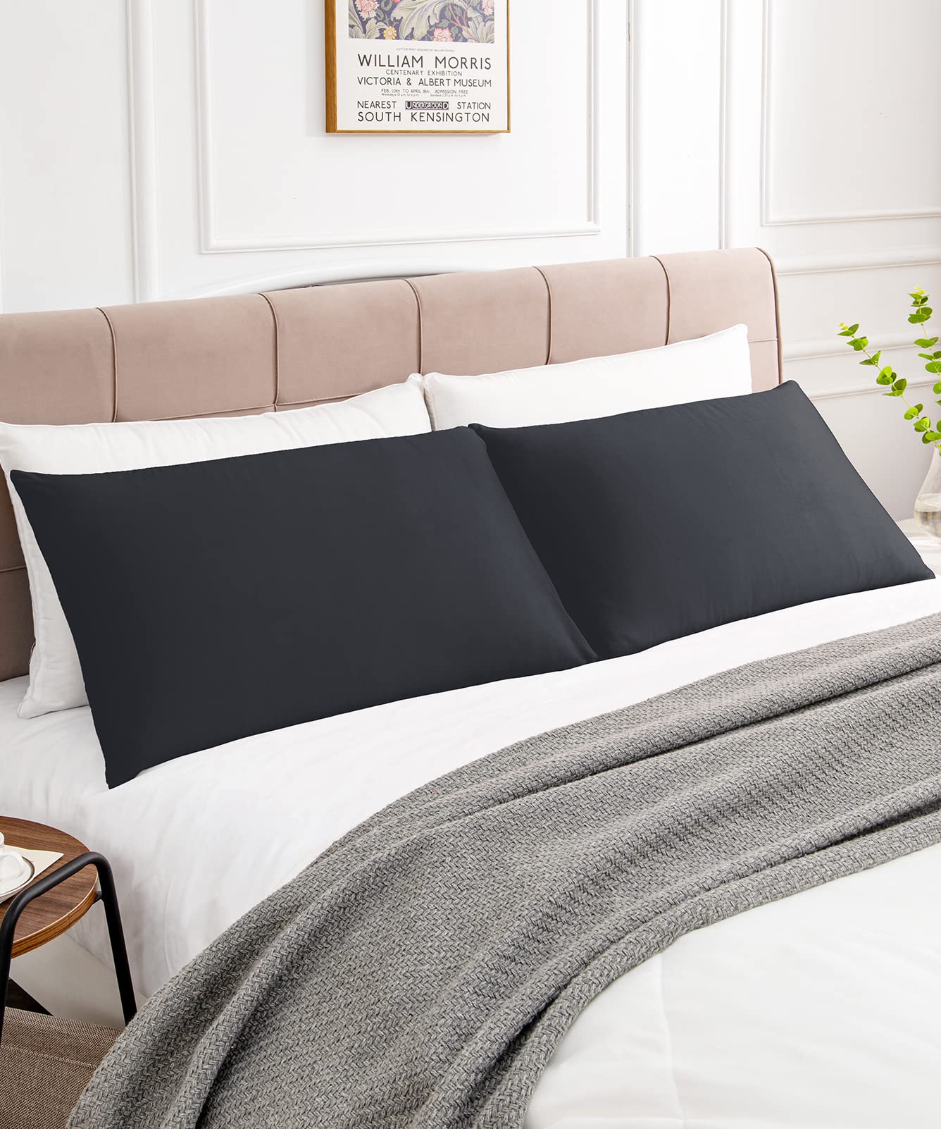 Warmstar 600 Thread Count Cotton Pillow Cases