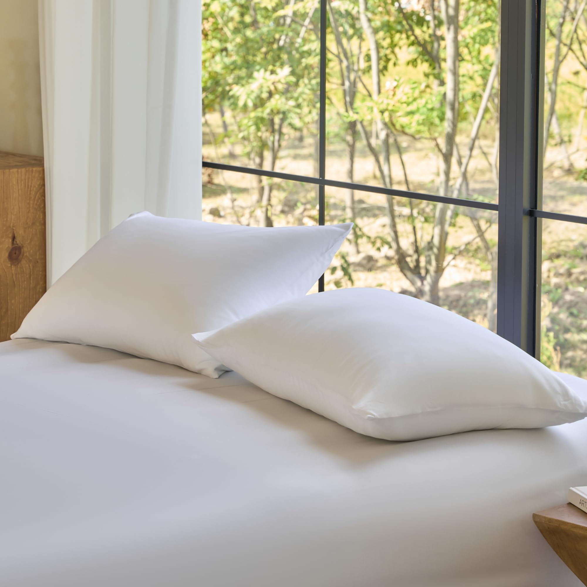 DOZ Pillowcase Set, 100% Viscose derived from Bamboo, Organically Grown, Buttery Soft, Silky, Breathable, Cooling, Oeko-TEX, High GSM, 2-Pack, Envelope Closure