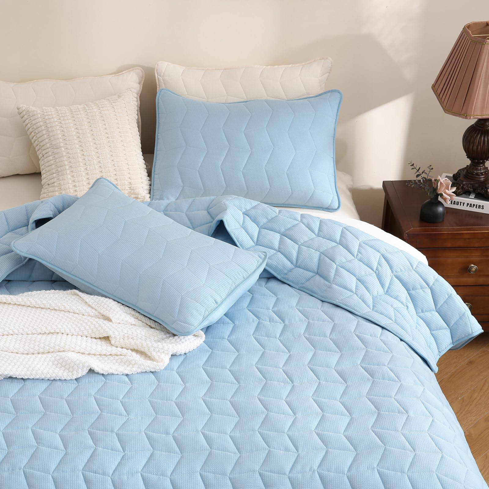 HiSnug Quilt Bedding Set, Reversible Lightweight Bed Spreads OversizedQuilted Bedspread for All Seasons, Soft Washable