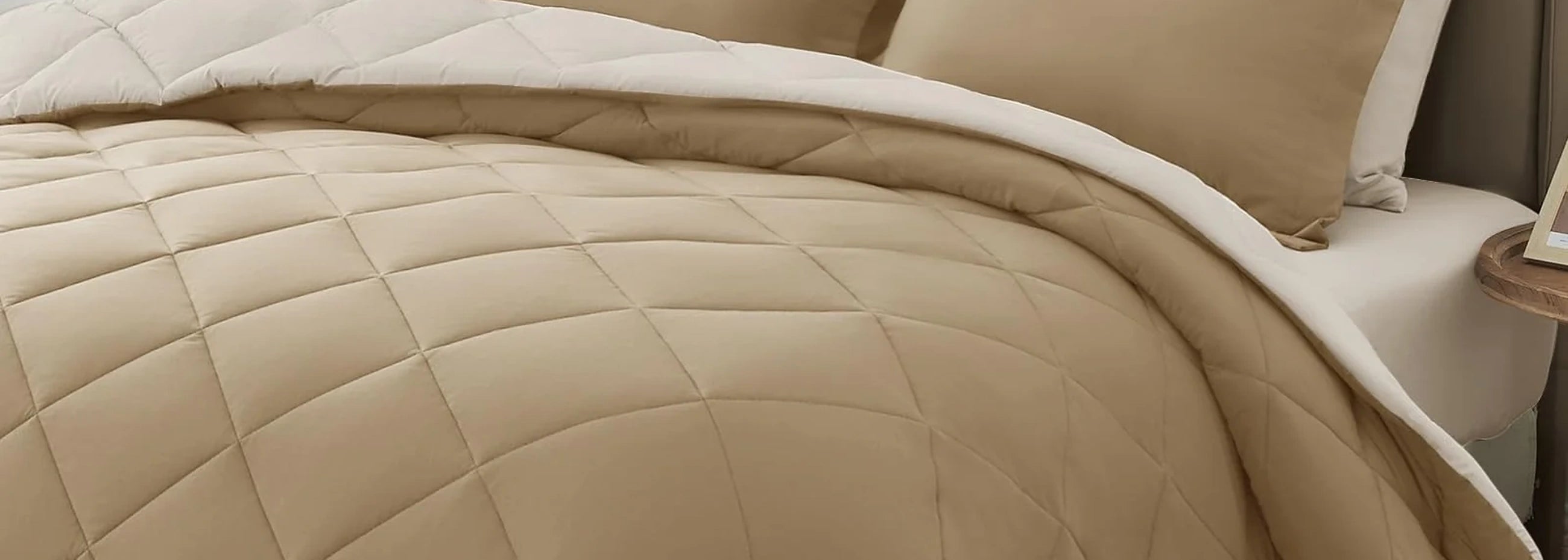 Softness You Can Settle Into